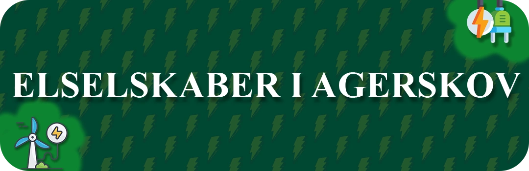 Elselskaber i Agerskov