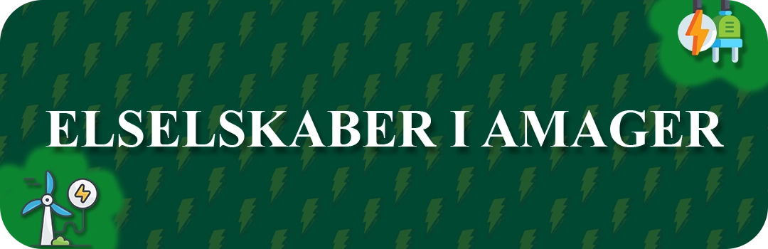 Elselskaber i Amager