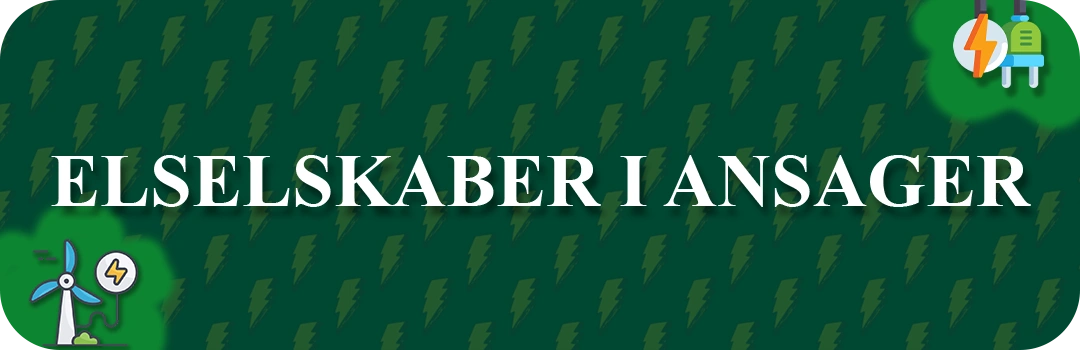 Elselskaber i Ansager