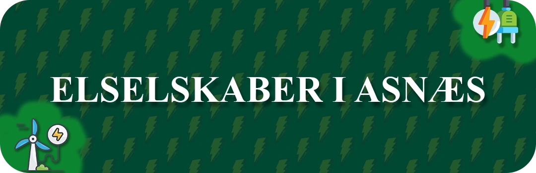 Elselskaber i Asnæs