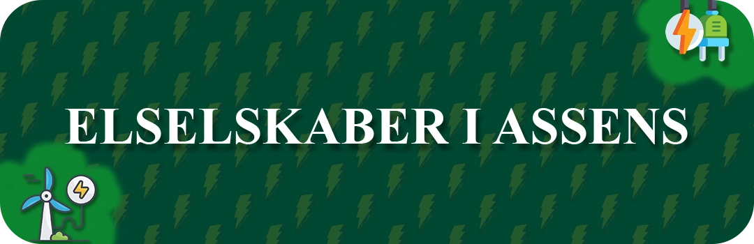 Elselskaber i Assens