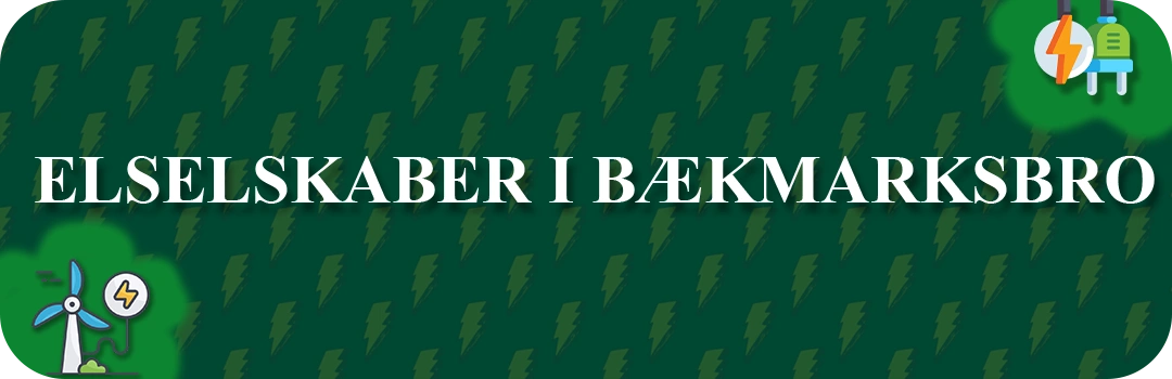 Elselskaber i Bækmarksbro