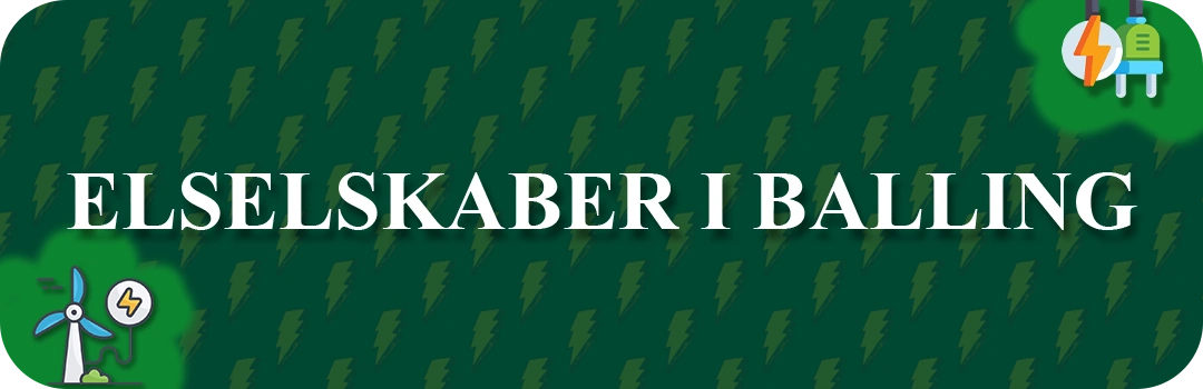 Elselskaber i Balling