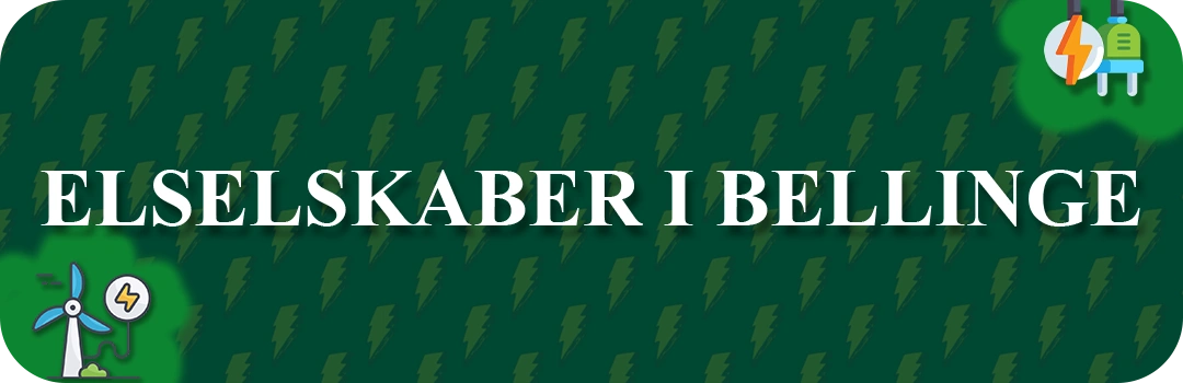 Elselskaber i Bellinge