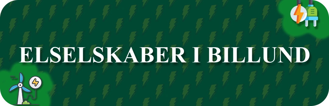 Elselskaber i Billund
