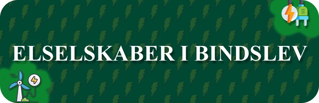 Elselskaber i Bindslev