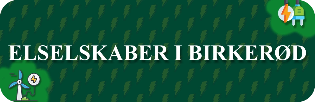 Elselskaber i Birkerød