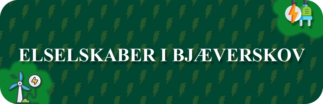 Elselskaber i Bjæverskov