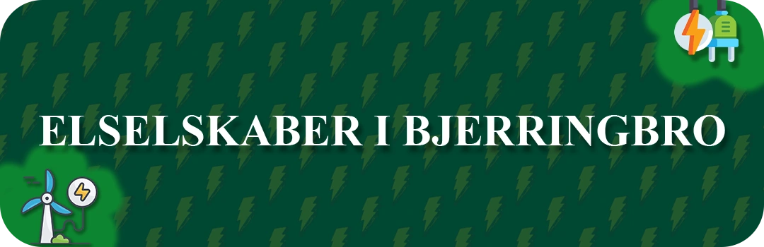 Elselskaber i Bjerringbro