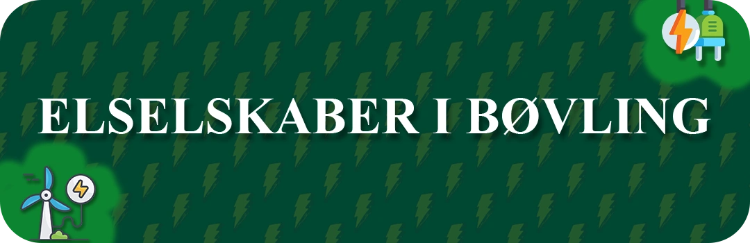Elselskaber i Bøvling