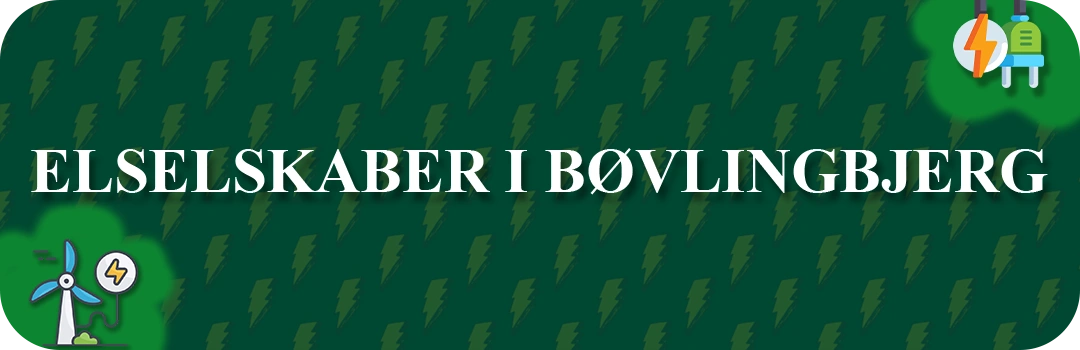 Elselskaber i Bøvlingbjerg