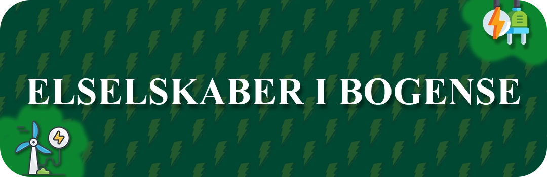 Elselskaber i Bogense