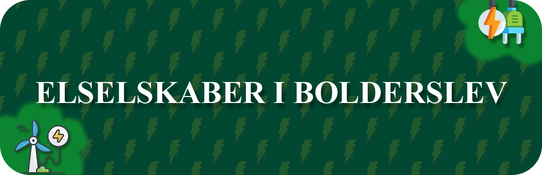 Elselskaber i Bolderslev