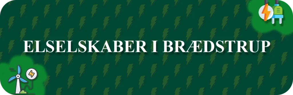 Elselskaber i Brædstrup
