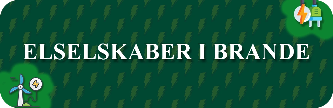 Elselskaber i Brande