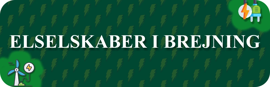 Elselskaber i Brejning