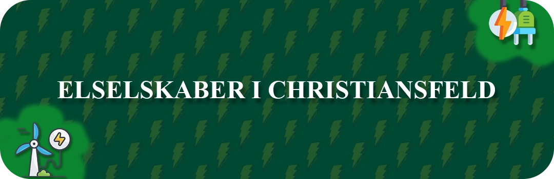 Elselskaber i Christiansfeld