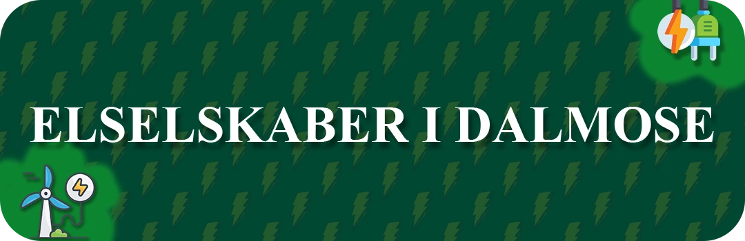 Elselskaber i Dalmose