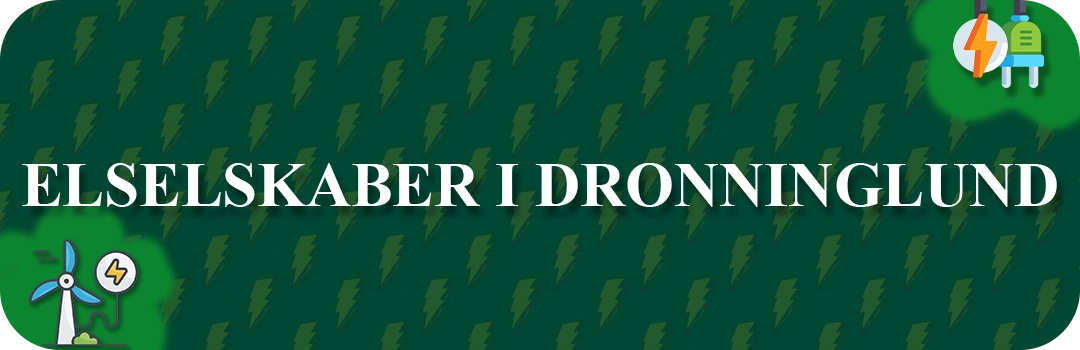 Elselskaber i Dronninglund