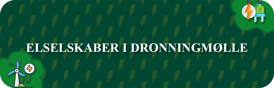 Elselskaber i Dronningmølle