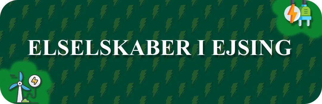 Elselskaber i Ejsing