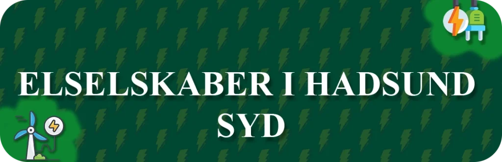 Elselskaber i Hadsund Syd