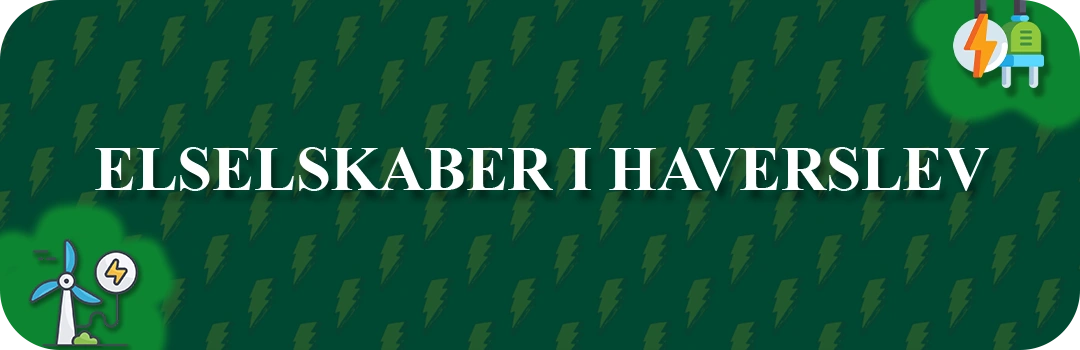 Elselskaber i Haverslev