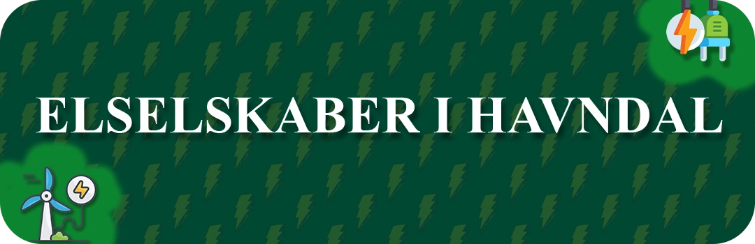 Elselskaber i Havndal