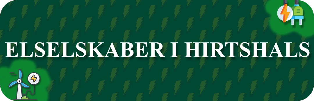 Elselskaber i Hirtshals