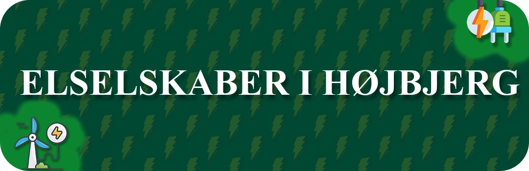 Elselskaber i Højbjerg