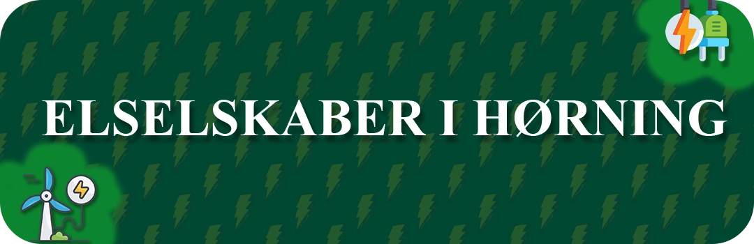 Elselskaber i Hørning