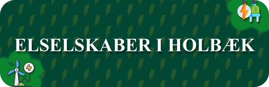 Elselskaber i Holbæk