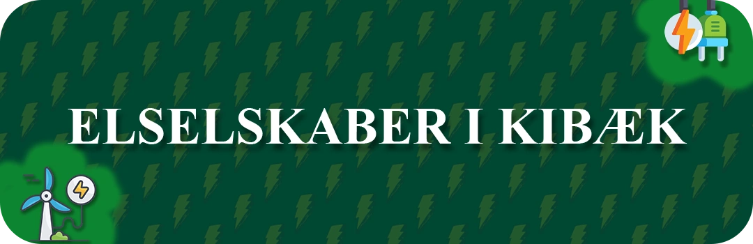 Elselskaber i Kibæk