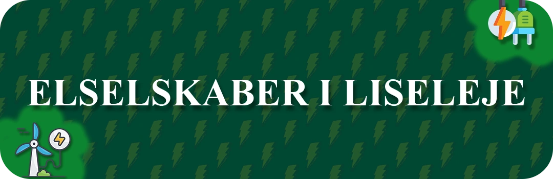 Elselskaber i Liseleje