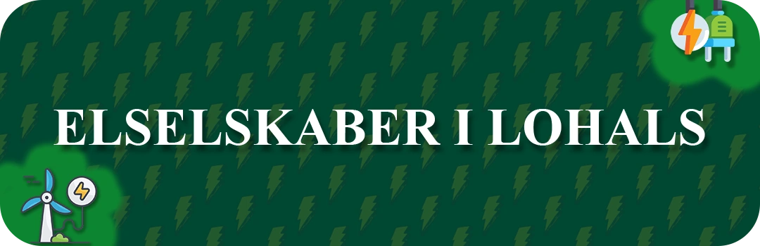 Elselskaber i Lohals