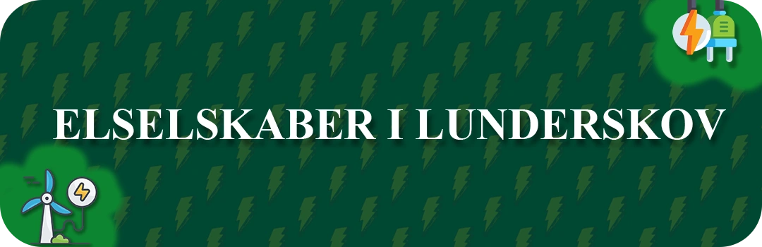 Elselskaber i Lunderskov