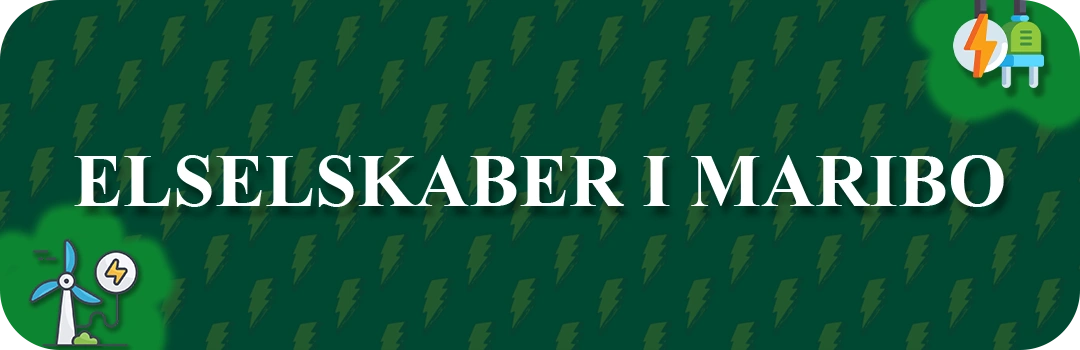 Elselskaber i Maribo