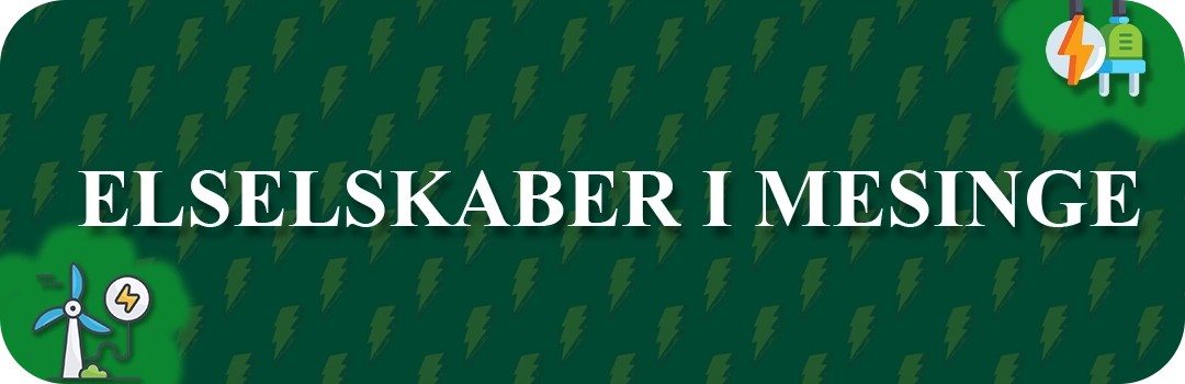 Elselskaber i Mesinge