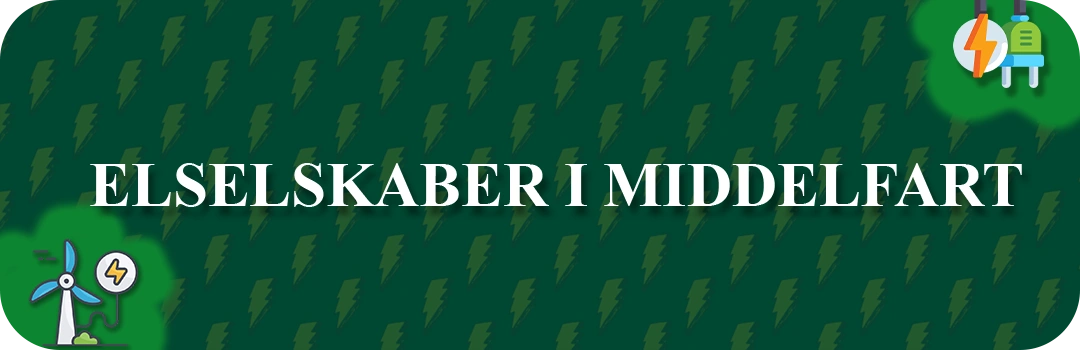 Elselskaber i Middelfart