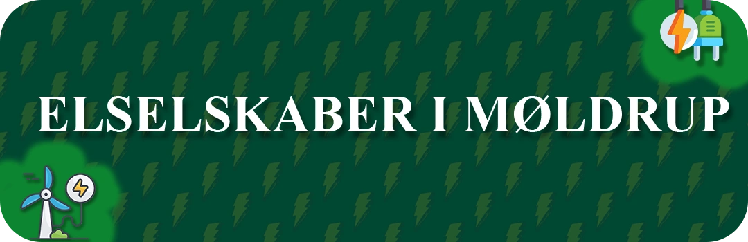 Elselskaber i Møldrup