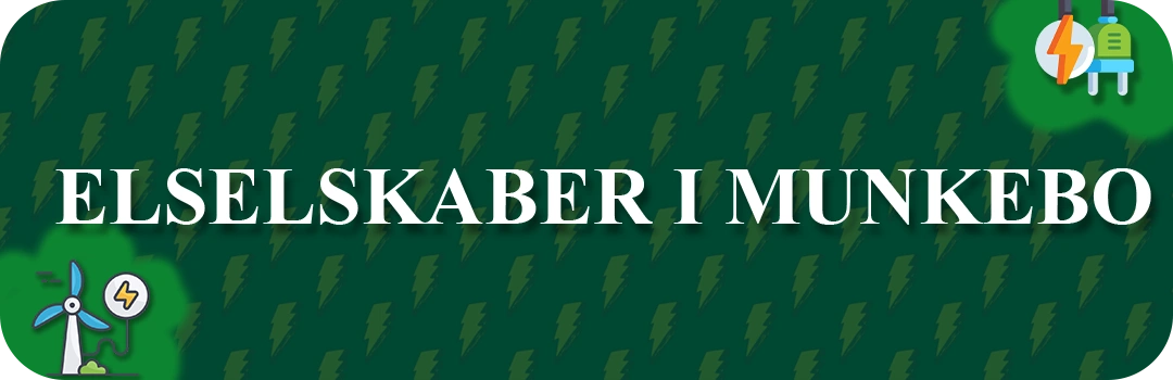 Elselskaber i Munkebo