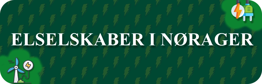 Elselskaber i Nørager