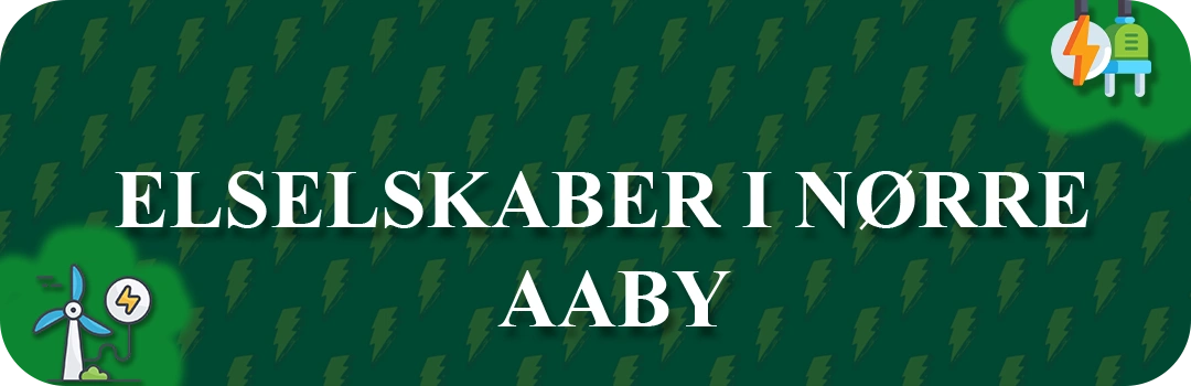 Elselskaber i Nørre Aaby