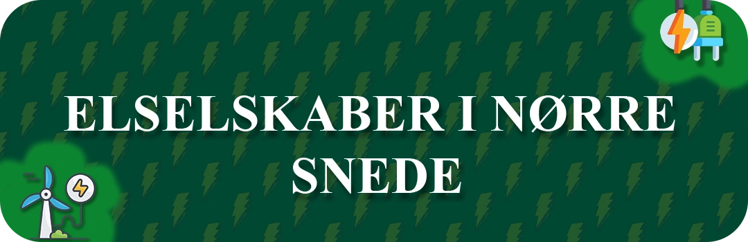Elselskaber i Nørre Snede