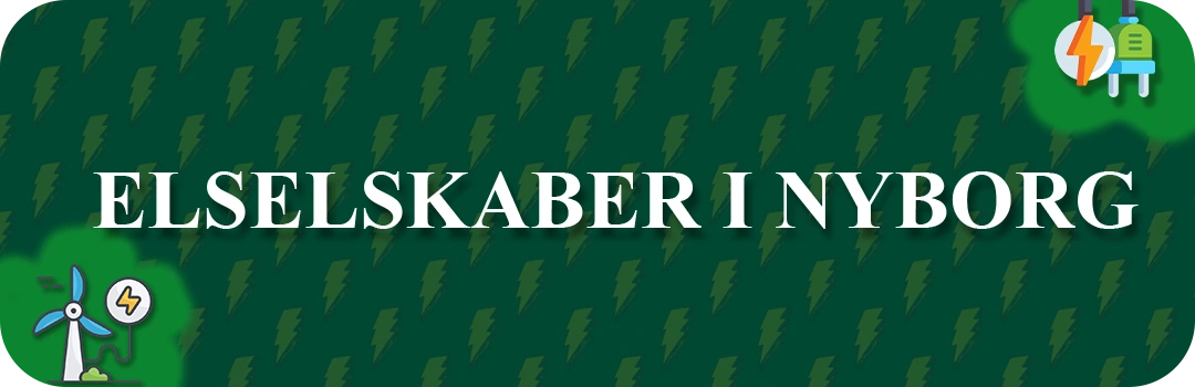 Elselskaber i Nyborg