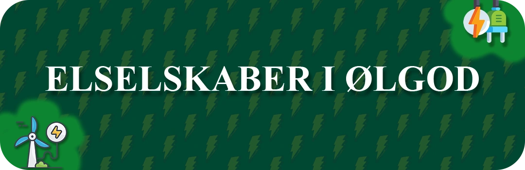 Elselskaber i Ølgod