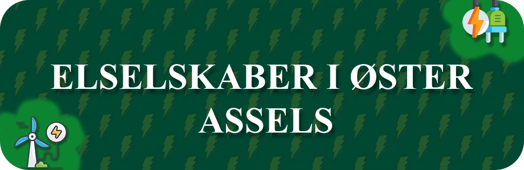 Elselskaber i Øster Assels