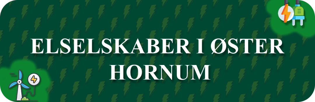 Elselskaber i Øster Hornum