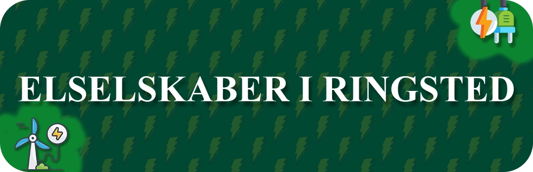 Elselskaber i Ringsted
