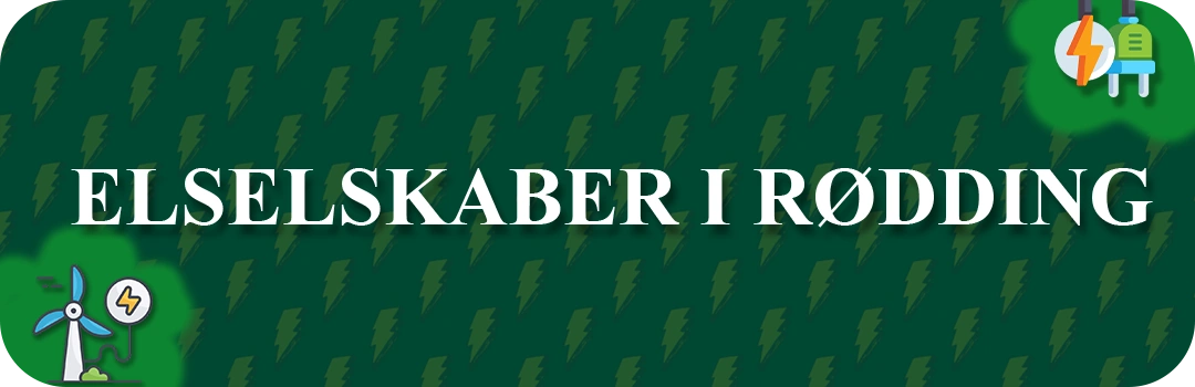 Elselskaber i Rødding